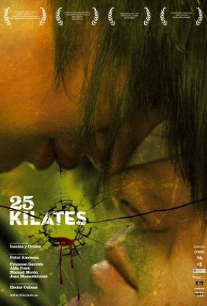 25 CARAT poster