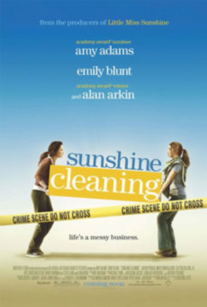 Sunshine Cleaning poster