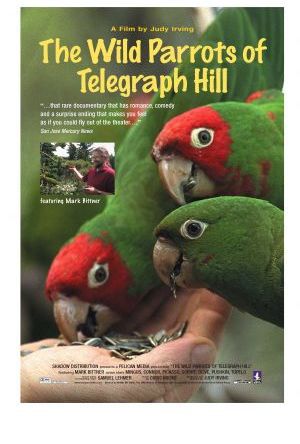 The Wild Parrots of Telegraph Hill poster