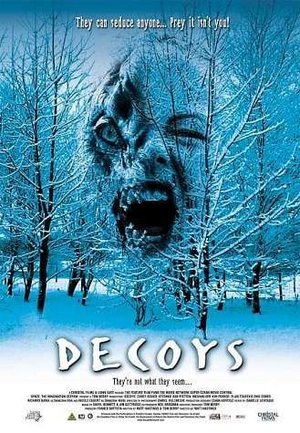 Decoys poster