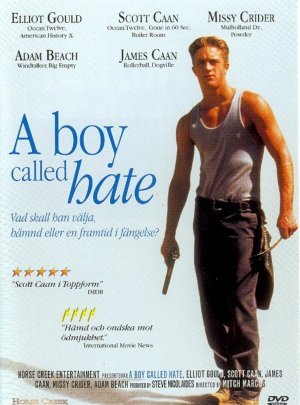A Boy Called Hate poster