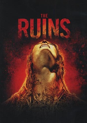 Ruins poster