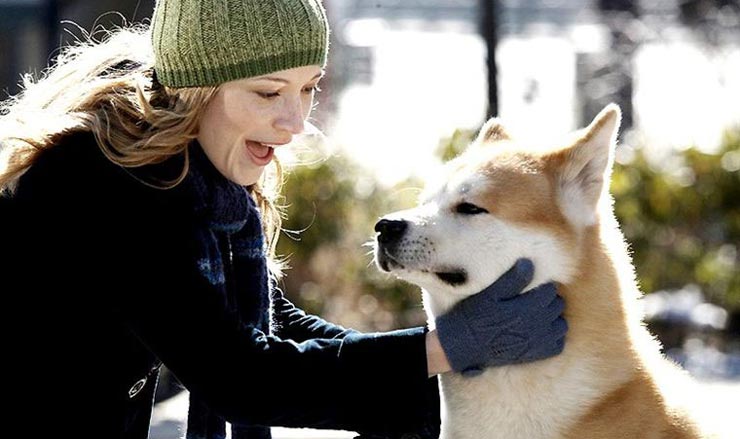 Hachiko En Ven For Livet Wiki