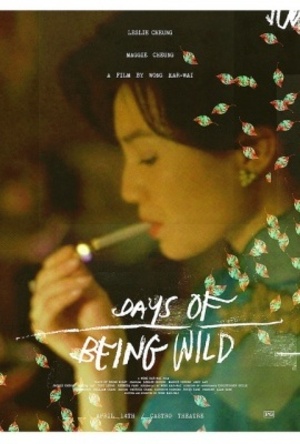 Days Of Being Wild poster