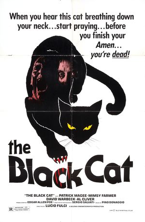 The Black Cat poster