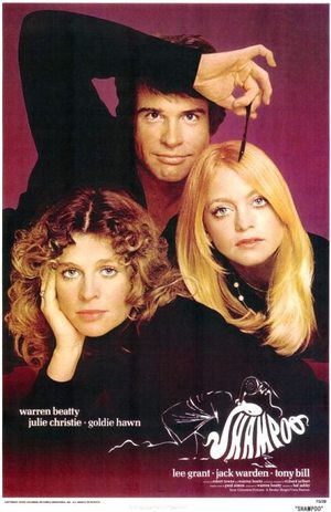 Shampoo poster