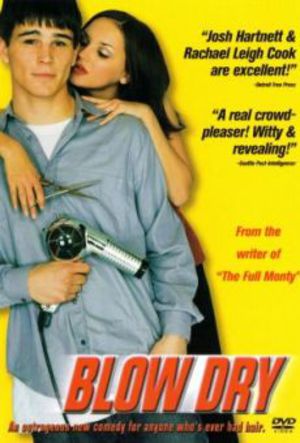Blow Dry poster