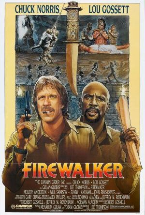 Firewalker poster