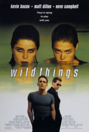 Wild Things poster