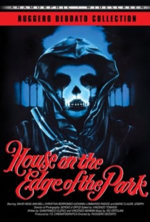 House on the Edge of the Park poster