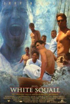 Den vita stormen poster