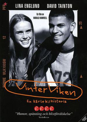 Vinterviken poster