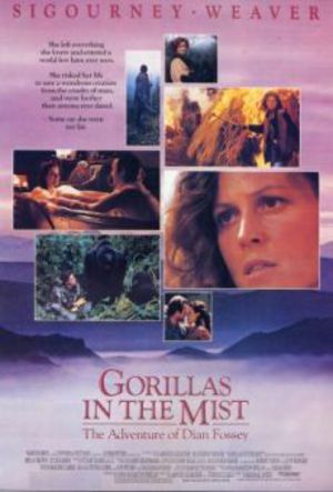 De dimhöljda bergens gorillor poster