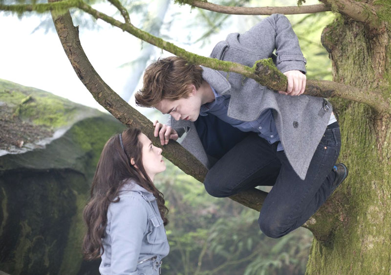 Twilight (2008) | Film | MovieZine.se