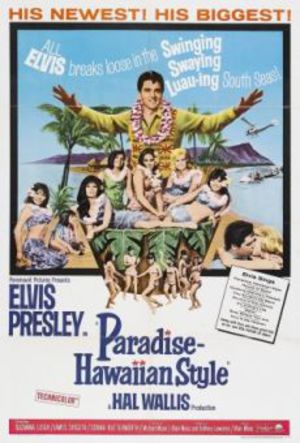 Hawaiian Paradise poster