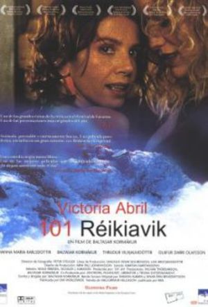 101 Reykjavik poster