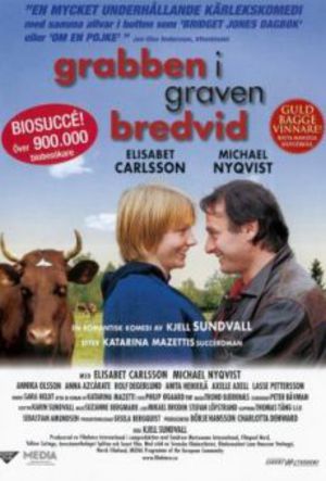 Grabben i graven bredvid poster