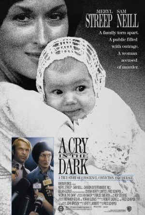 Ett skrik i mörkret poster