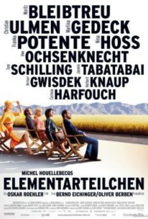 Elementarpartiklarna poster