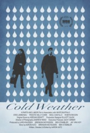 Cold Weather poster