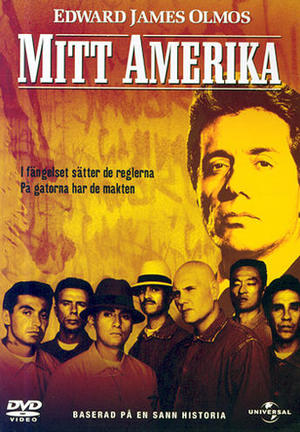 Mitt Amerika poster