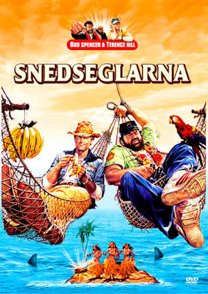 Snedseglarna poster