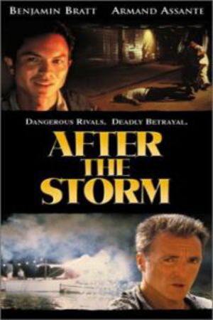 After the storm poster