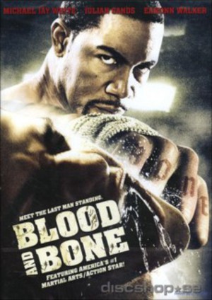 Blood and Bone poster