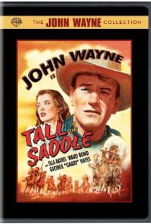 En cowboy rensar stan poster