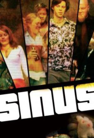 Sinus poster