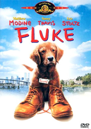 Fluke poster