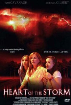 Heart of the Storm poster