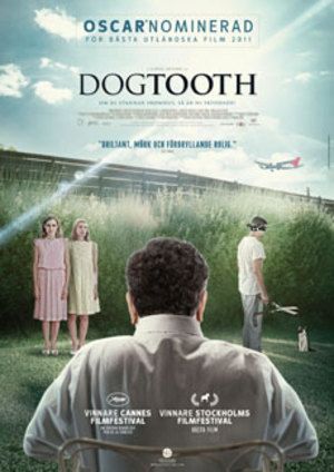 Dogtooth poster