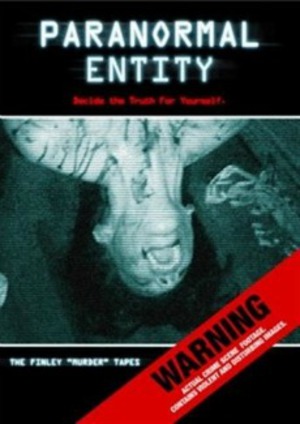 Paranormal Entity poster