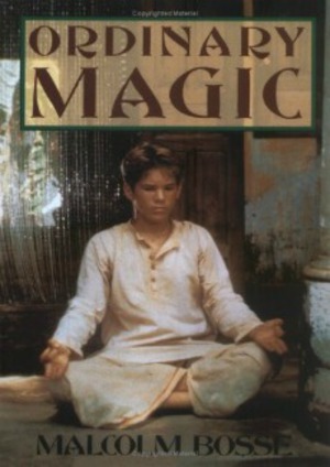 Ordinary Magic poster