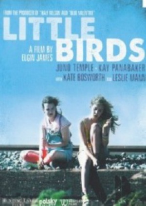 Little Birds poster