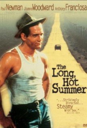 Lång, het sommar poster