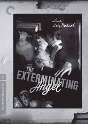 Mordängeln poster