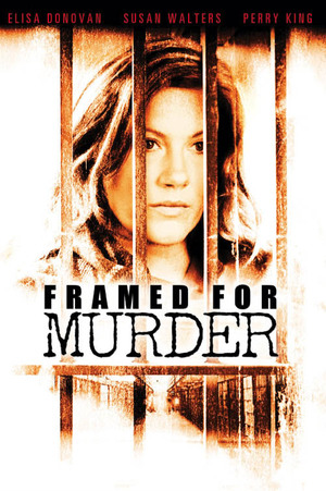 Framed for Murder poster