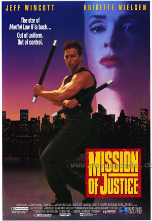 Mission Of Justice poster