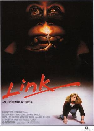 Link poster