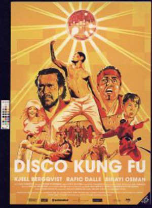 Disco Kung Fu poster