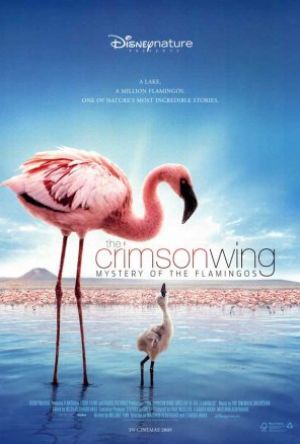 Den röda vingen - Flamingons gåtfulla liv poster