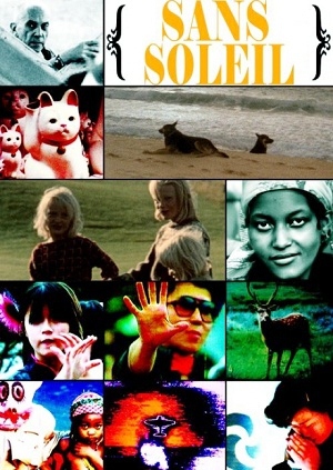 Sunless poster