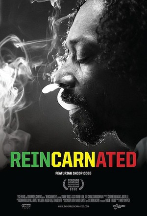 Reincarnated poster