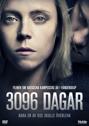 3096 dagar poster