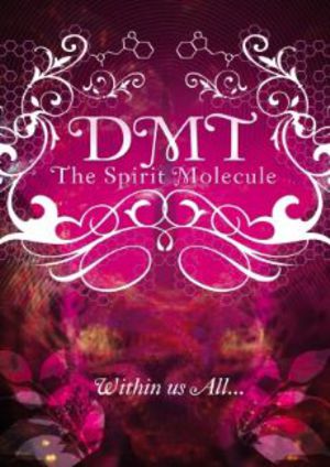 DMT: The Spirit Molecule poster