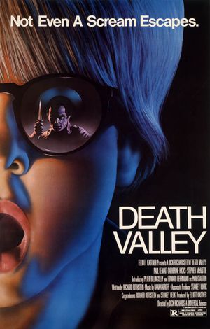 Death Valley poster