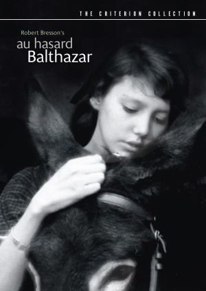 Min vän Balthazar poster