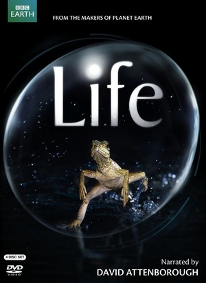 Life poster